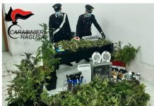 Comiso, carabinieri sequestrano 2 Kg di droga: 176 piante di marijuana