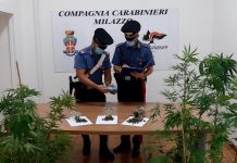 Provincia di Messina, coltiva piante di cannabis: 47enne arrestato dai Carabinieri