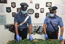 Librizzi, scoperta una piantagione di canapa indiana: 42enne arrestato dai Carabinieri