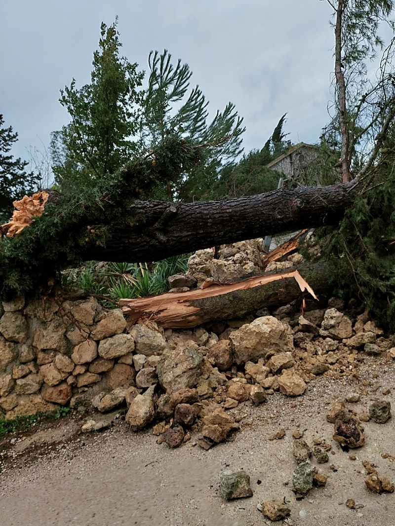 Canicattì, tromba d'aria: diversi danni in contrada Grottarossa(Foto) Canicattì, tromba d'aria: diversi danni in contrada Grottarossa(Foto)