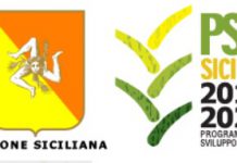 Licata, fondi Psr Sicilia: emanato bando a sostegno di attività extra- agricole