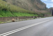 Agrigento, caduta massi sulla SS118: completato il disgaggio dei massi in equilibrio precario