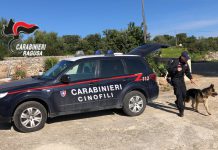 Vittoria, attività anti droga dei carabinieri: arrestati due conviventi per armi e droga