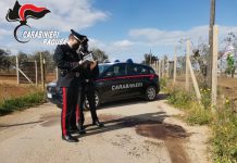 Acate, furto e maltrattamento di animali: denunciato 32enne