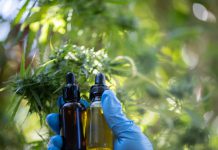 Caltanissetta, Cannabis terapeutica: al CEFPAS iscrizioni aperte al corso online per medici su corretto uso e prescrizione