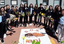 Concorso Rotary SOS API. Concluse le selezioni Nissene (Foto)
