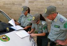 Caltanissetta, usava un fucile “truccato”: cacciatore denunciato dalle guardie venatorie, dovrà risarcire il WWF con 1500 euro