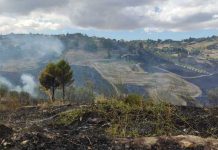 San Cataldo, vasto incendio ha minacciato il centro abitato: intervenute 3 squadre dei vigili del fuoco e mezzi aerei