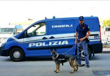 Catania, quartiere San Berillo: droga nascosta in vecchi edifici scoperta grazie al cane poliziotto Ares