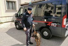 Licata, prevenzione del fenomeno dello spaccio di sostanze stupefacenti: i dati dell’attività di controllo