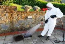 Licata, al via il servizio di derattizzazione e disinfestazione del territorio comunale: ecco il calendario