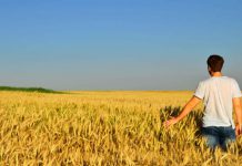 Licata, al via generazione terra: il nuovo bando Ismea per giovani agricoltori