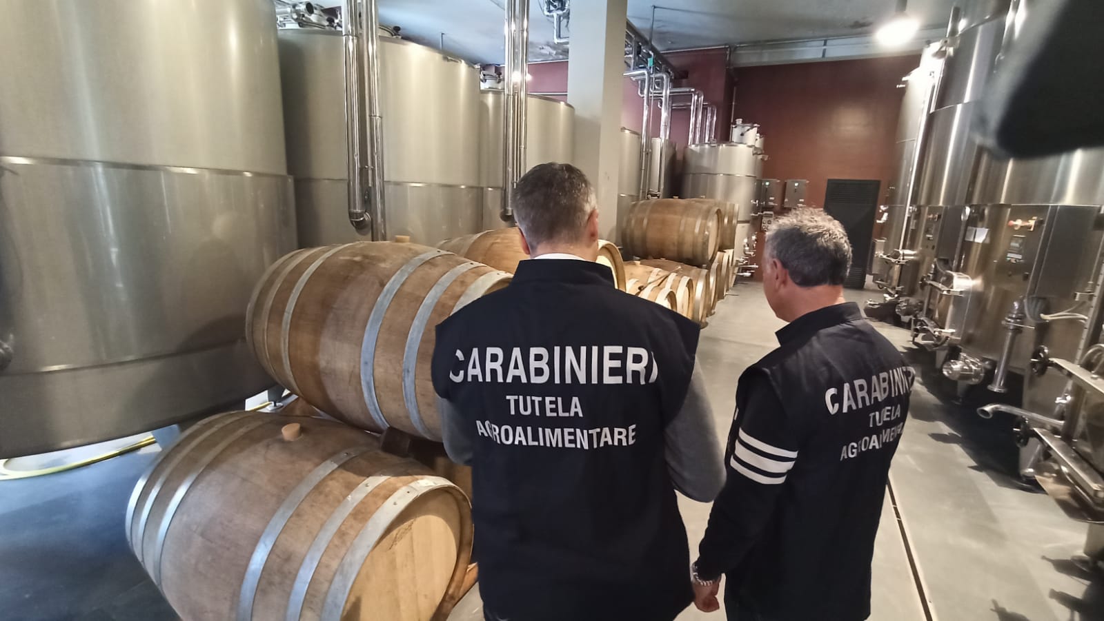 Truffa aggravata finalizzata al conseguimento illecito di contributi pubblici nel settore agricolo, il bilancio dei carabinieri reparto tutela alimentare Truffa aggravata finalizzata al conseguimento illecito di contributi pubblici nel settore agricolo, il bilancio dei carabinieri reparto tutela alimentare