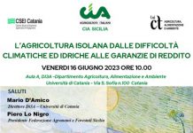 “L’agricoltura isolana dalle difficoltà climatiche e idriche alle garanzie di reddito”, è il tema del seminario che si svolgerà oggi all’Università di Catania