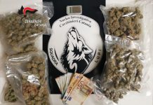 Catania, consegnava droga a domicilio: arrestato pusher incensurato
