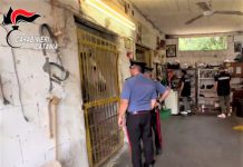 Catania, corsa clandestina di cavalli sull’Etna: cinque denunce