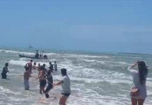 San Leone, bagnanti rischiano di annegare a causa del mare mosso: interviene la Guardia costiera (Foto)