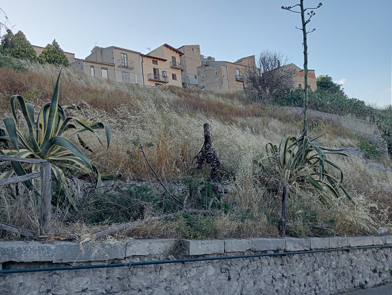 Il movimento Nuova Canicattì segnala degrado urbano in alcuni quartieri (Foto) Il movimento Nuova Canicattì segnala degrado urbano in alcuni quartieri (Foto)