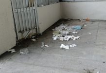 Catania, pulizia Corso Italia: il consigliere comunale Cardello chiede azioni anti degrado