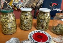 Nascondeva droga nella dispensa della cucina, secondo il RIS possibile ricavare oltre 500 dosi: arrestato 62enne