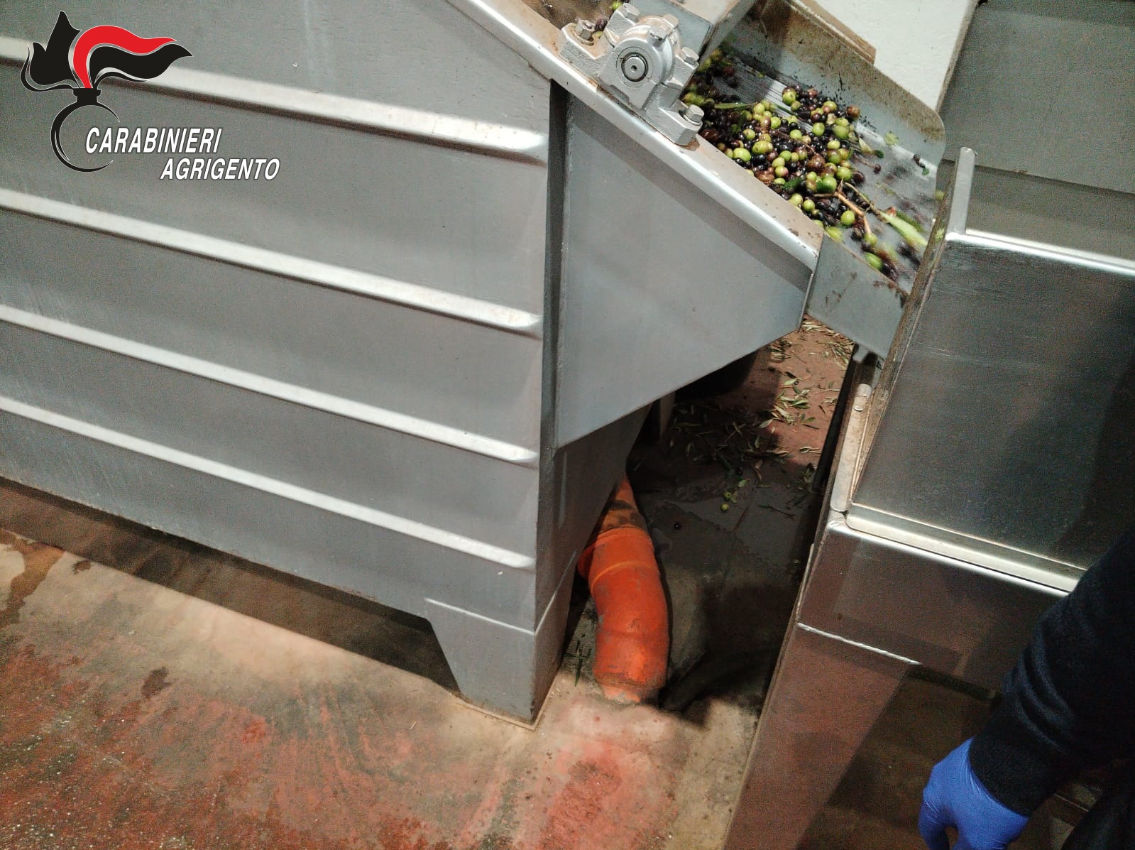 Prov di Agrigento, Successo dei Carabinieri nella Battaglia contro lo Smaltimento Illecito delle Acque di Vegetazione Prov di Agrigento, Successo dei Carabinieri nella Battaglia contro lo Smaltimento Illecito delle Acque di Vegetazione