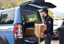 Provincia di Messina, la polizia sequestra una tonnellata di materiale esplosivo