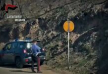 Arrestato uomo per incendi dolosi in aree protette di Gioiosa Marea e Piraino