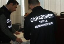 La Procura Europea e i Carabinieri sequestrano beni per 400mila euro in provincia di Messina