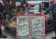 Arrestato venditore ambulante Palermitano: nascondeva droga tra cipolle e aglio