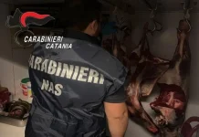 Catania: Controlli dei Carabinieri in Ristoranti e Food Truck, Sequestri, Denunce e Multe