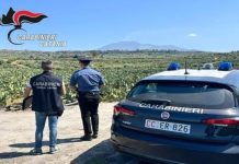 Biancavilla: Denunciati Due Imprenditori per Lavoro Nero e Violazioni di Sicurezza, Sanzioni per 20.000 Euro