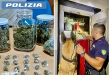 Grande Sequestro di Droga a Catania: 1500 Dosi e 4 Chili Ritrovati nei Rioni Cittadini