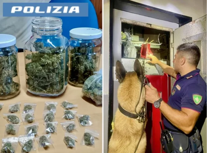 cane scopre droga